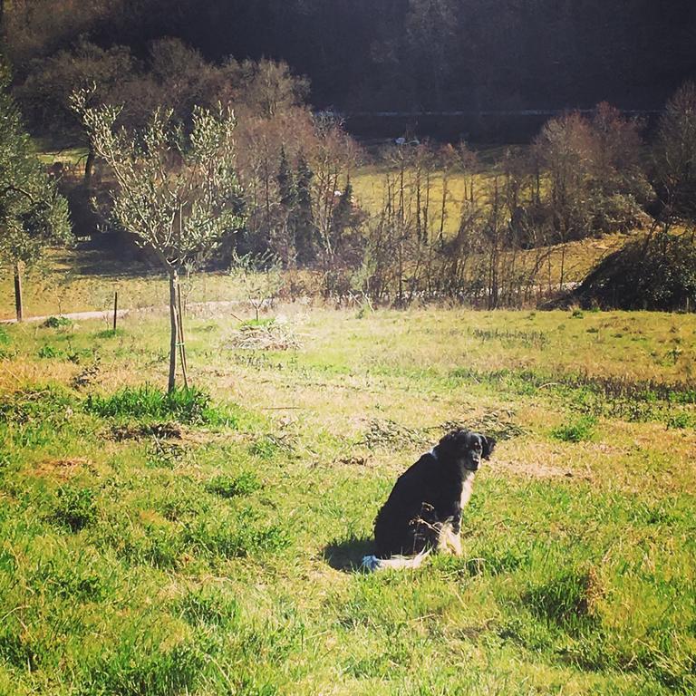 Agriturismo L'Oca Blu Gubbio Bagian luar foto