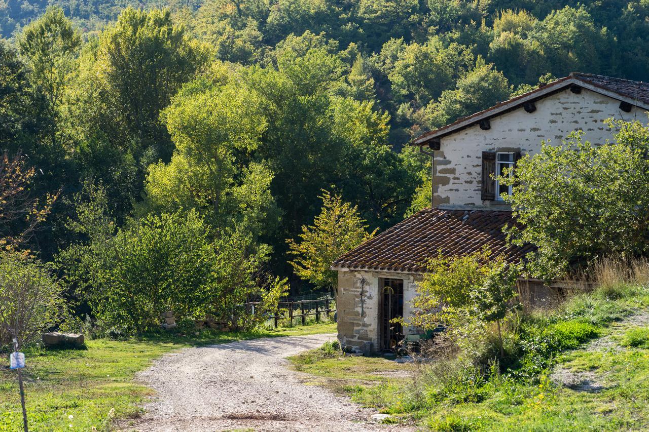 Agriturismo L'Oca Blu Gubbio Bagian luar foto